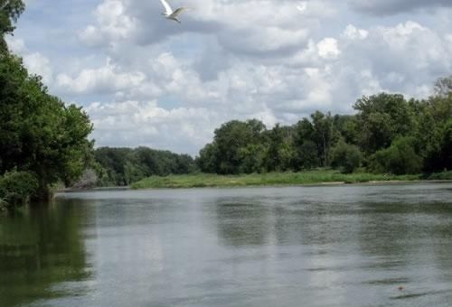 Colorado River Rv Campground Columbus Exterior photo